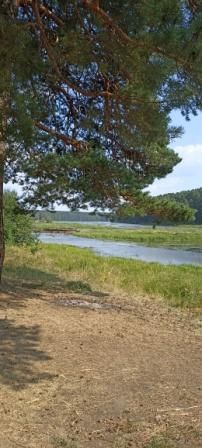 природа 2.jpg