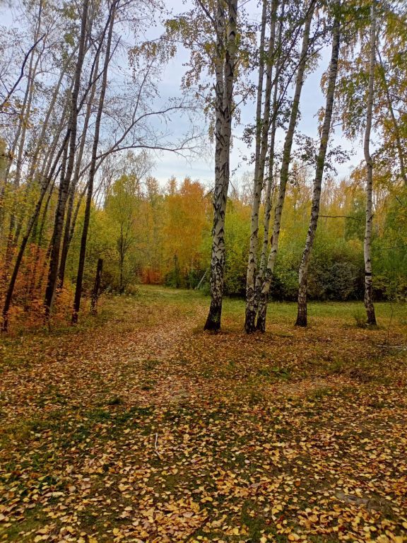 осень3.jpg
