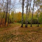 осень3.jpg